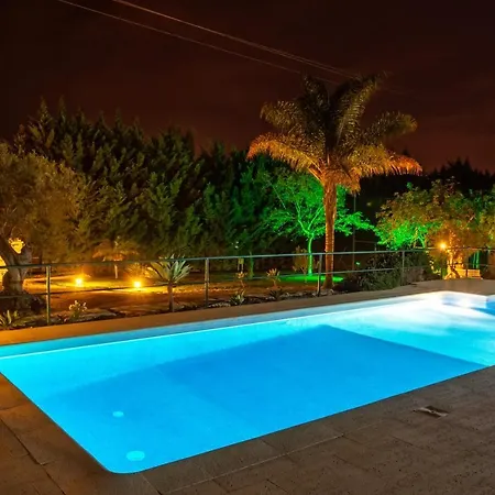 Holiday's Paradise