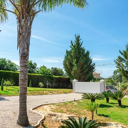 Holiday's Paradise * 奥良